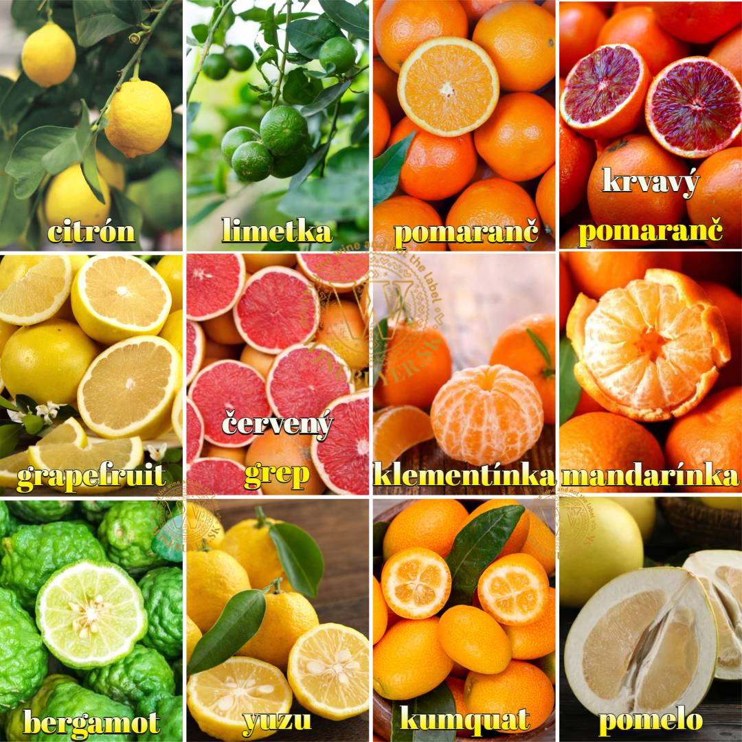 Flavours 1080_2 citrus